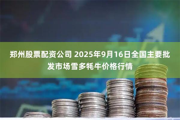 郑州股票配资公司 2025年9月16日全国主要批发市场雪多牦牛价格行情