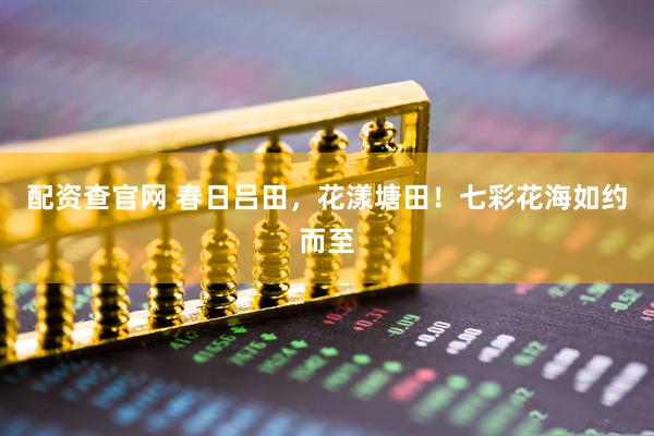 配资查官网 春日吕田，花漾塘田！七彩花海如约而至
